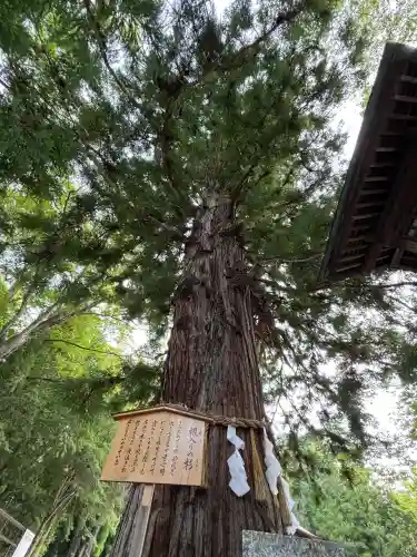 諏訪大社下社秋宮(長野県)