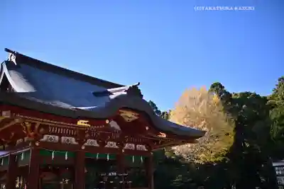 鶴岡八幡宮の神楽