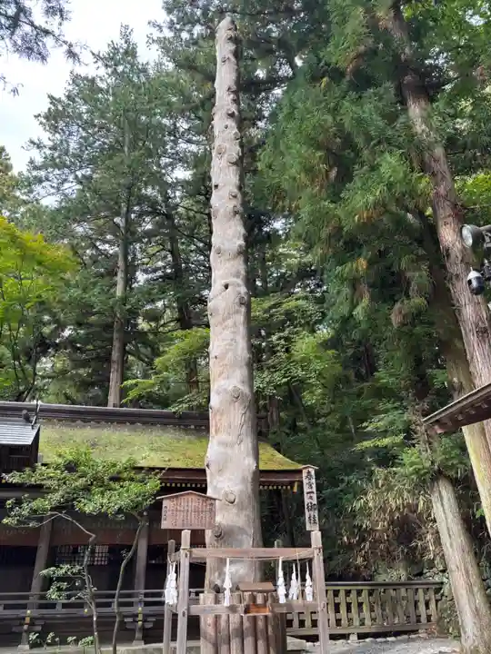 諏訪大社下社春宮(長野県)