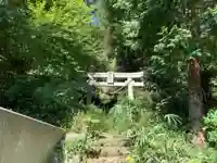 蔵王神社の鳥居