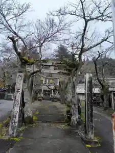 天鷹神社(岐阜県)(2024年03月05日(火) 21時43分51秒投稿)