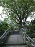 老松神社(佐賀県)