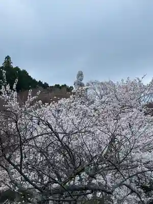 南法華寺（壷阪寺）(奈良県)