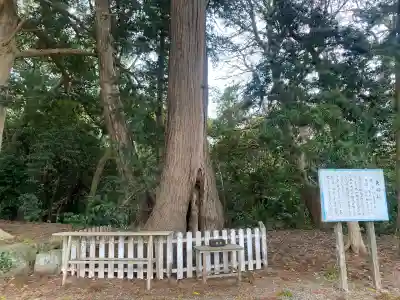 鎌数伊勢大神宮(千葉県)