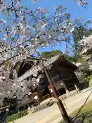 染羽天石勝神社の自然