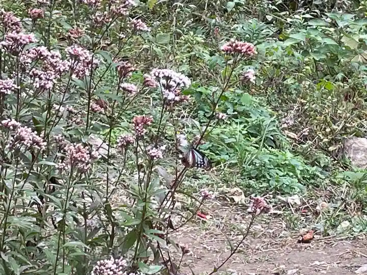 成田山不動寺の自然