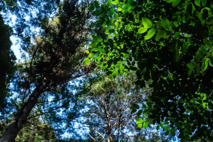 櫻井神社(福岡県)