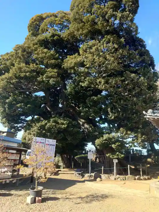 九重神社(埼玉県)