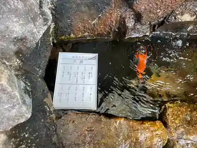 貴船神社(群馬県)