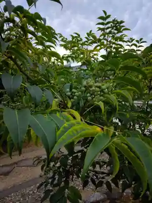 萬福寺(京都府)