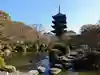 東寺(教王護国寺)の庭園