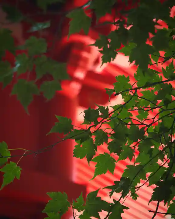 赤城神社(群馬県)