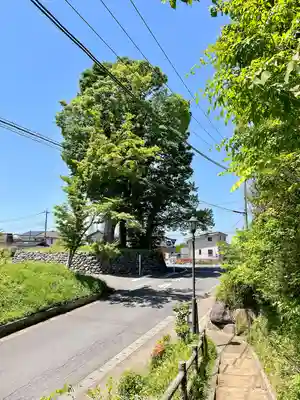 本城稲荷神社(栃木県)