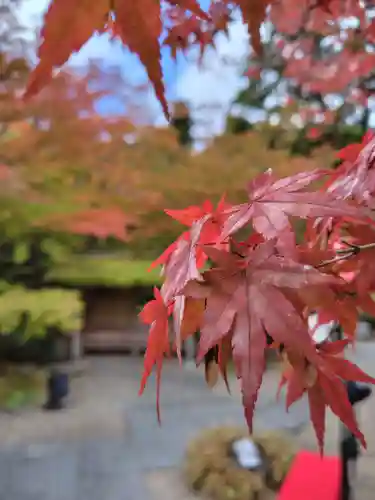 円通院(宮城県)