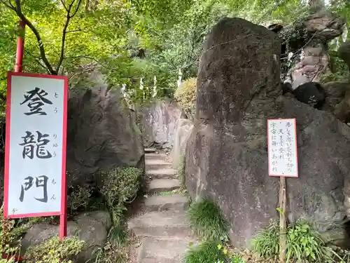 渋川八幡宮(群馬県)