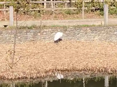 千束八幡神社(東京都)