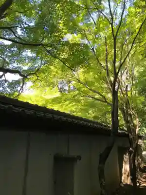 廬山寺(廬山天台講寺)のその他建物