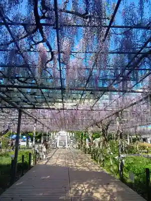 曼陀羅寺(愛知県)