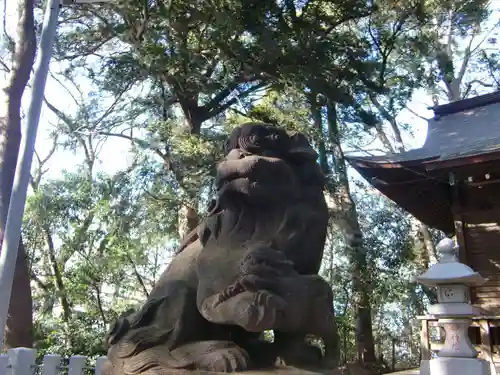 浅間神社の狛犬