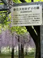 和気神社(鹿児島県)