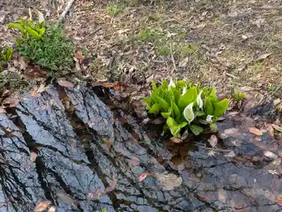鹿島大神宮(福島県)