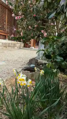 大松禅寺(京都府)