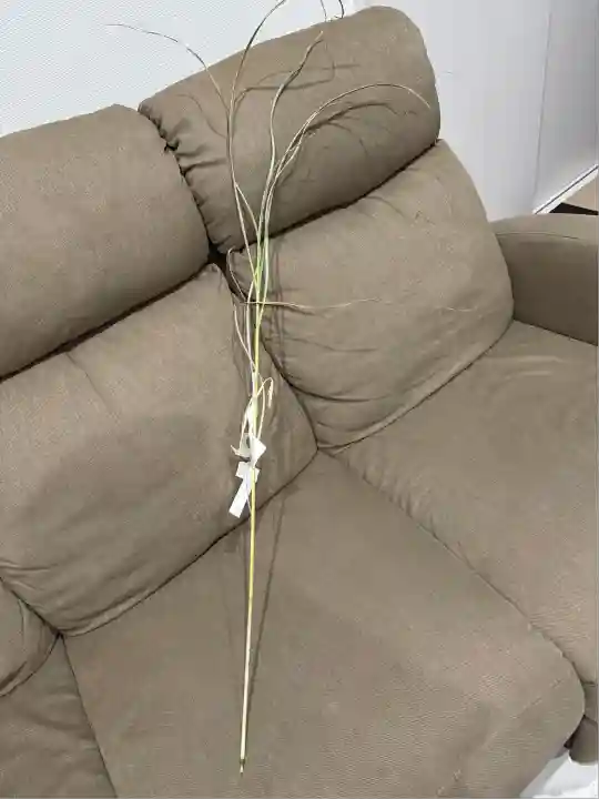 八尾神社(大阪府)