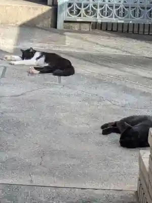 円照寺(東京都)