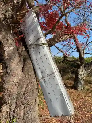 落文神社跡(千葉県)