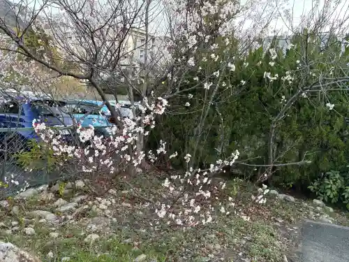 兵庫縣神戸護國神社の{uncategorized: "未分類", other: "その他", undefined: "問題あり", building: "その他建物", grave: "お墓", sacred_gate: "鳥居", guardian: "狛犬", statue: "像", buddha: "仏像", history: "歴史", nature: "自然", garden: "庭園", animal: "動物", pagoda: "塔", temizu: "手水舎", mountain_gate: "山門・神門", sanctuary: "本殿・本堂", subordinate: "末社・摂社", art: "芸術", scenery: "景色", jizo: "地蔵", ema: "絵馬", goshuin: "御朱印", omikuji: "おみくじ", items: "授与品その他", amulet: "お守り", goshuincho: "御朱印帳", eats: "食事", festival: "お祭り", votive_dance: "神楽", shichigosan: "七五三参", wedding: "結婚式", experience: "体験その他", initially: "初詣", around: "周辺", anti_infection: "感染症対策"}