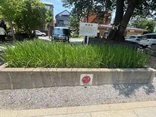 鎮守氷川神社(埼玉県)