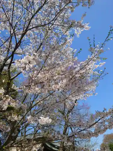 岐阜護國神社(岐阜県)