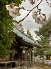 尉殿神社の本殿