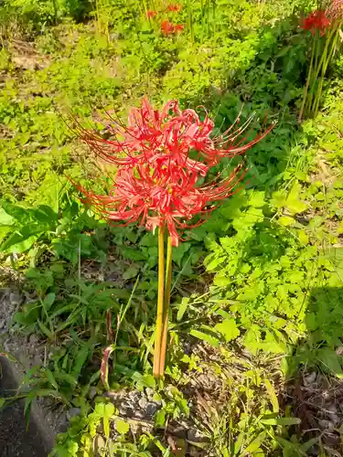 熊野神社(宮城県)