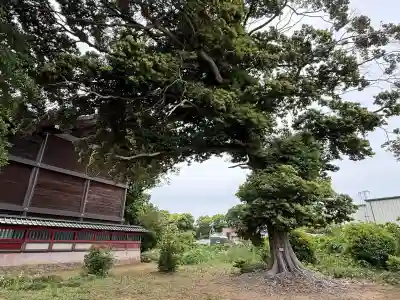 秋葉神社の{uncategorized: "未分類", other: "その他", undefined: "問題あり", building: "その他建物", grave: "お墓", sacred_gate: "鳥居", guardian: "狛犬", statue: "像", buddha: "仏像", history: "歴史", nature: "自然", garden: "庭園", animal: "動物", pagoda: "塔", temizu: "手水舎", mountain_gate: "山門・神門", sanctuary: "本殿・本堂", subordinate: "末社・摂社", art: "芸術", scenery: "景色", jizo: "地蔵", ema: "絵馬", goshuin: "御朱印", omikuji: "おみくじ", items: "授与品その他", amulet: "お守り", goshuincho: "御朱印帳", eats: "食事", festival: "お祭り", votive_dance: "神楽", shichigosan: "七五三参", wedding: "結婚式", experience: "体験その他", initially: "初詣", around: "周辺", anti_infection: "感染症対策"}