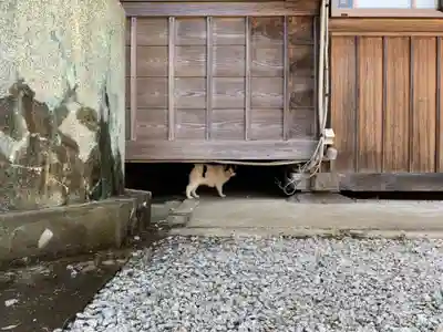 東祥寺(千葉県)