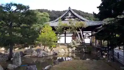 高台寺（高台寿聖禅寺・高臺寺）(京都府)