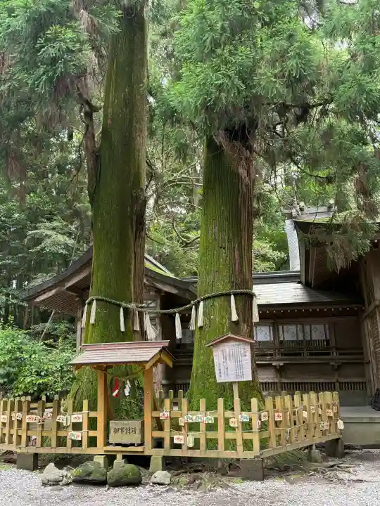 高千穂神社(宮崎県)