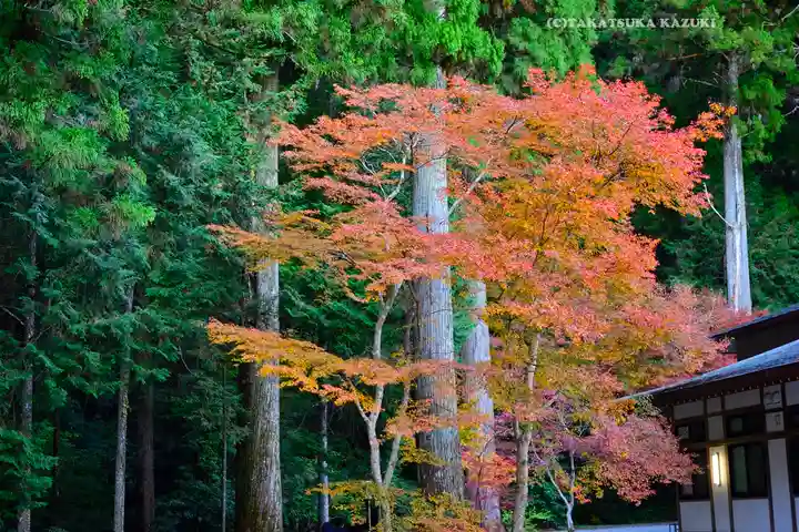 小國神社の自然