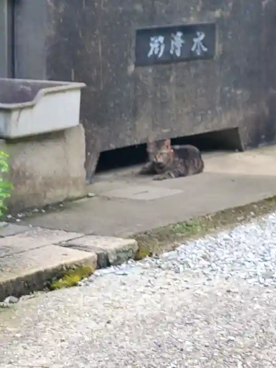 傑岑寺(栃木県)
