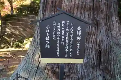 日枝神社(静岡県)