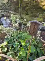 天龍寺(京都府)