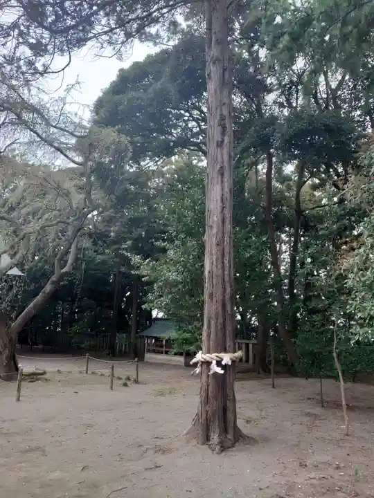 常陸第三宮 吉田神社の自然