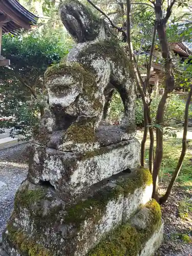 大野湊神社の狛犬