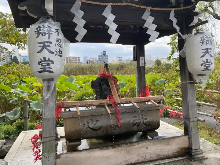 寛永寺不忍池弁天堂(東京都)