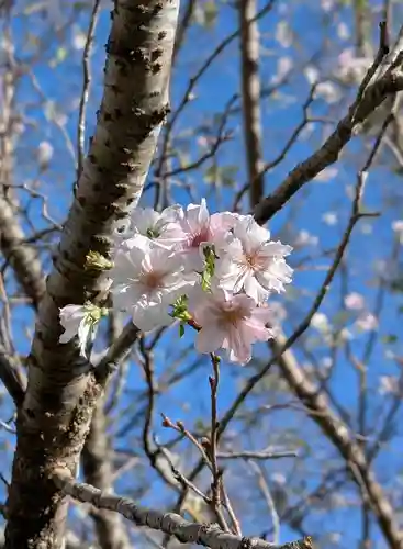 大生郷天満宮(茨城県)