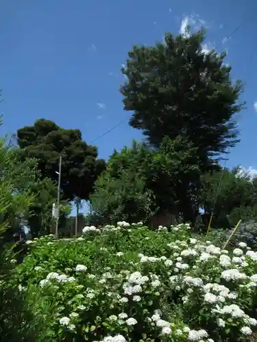 菅原神社(千葉県)
