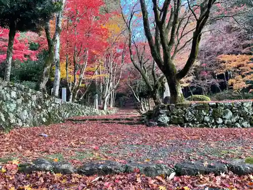 鶏足寺(滋賀県)