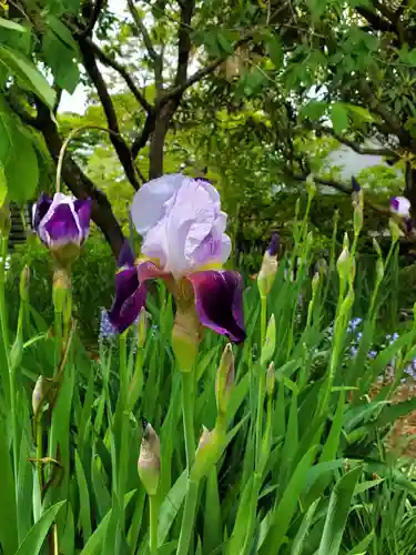 上合寺(福島県)