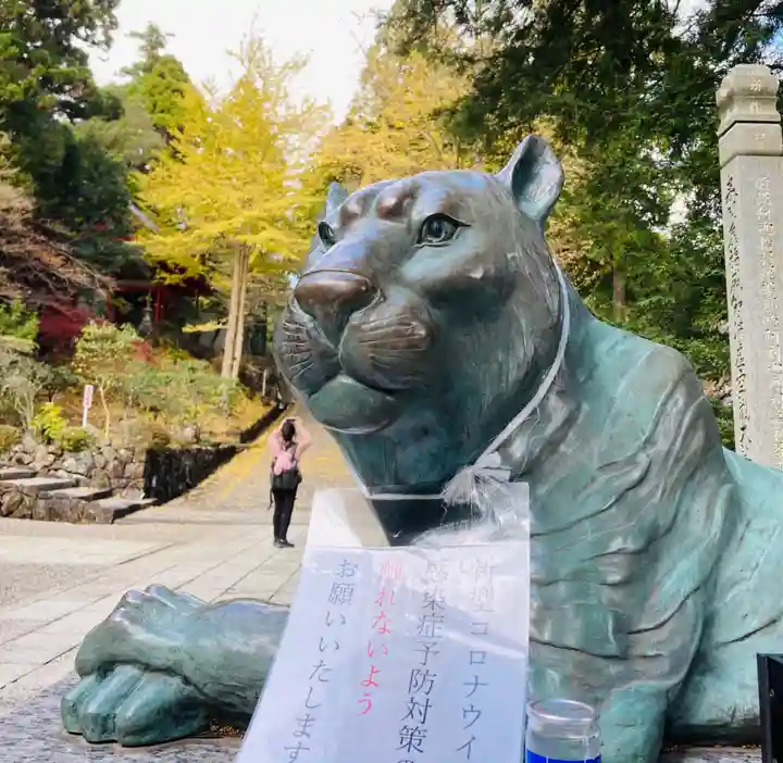 金剛證寺の狛犬